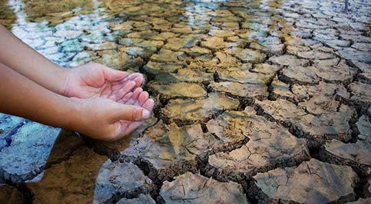 East Africa : How droughts bring diseases