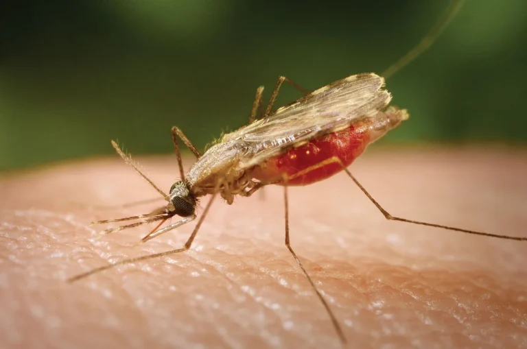 WHO Approved Revolutionary Malaria Vaccine,     “Malaria Could Be Eradicated  By 2040” says expert