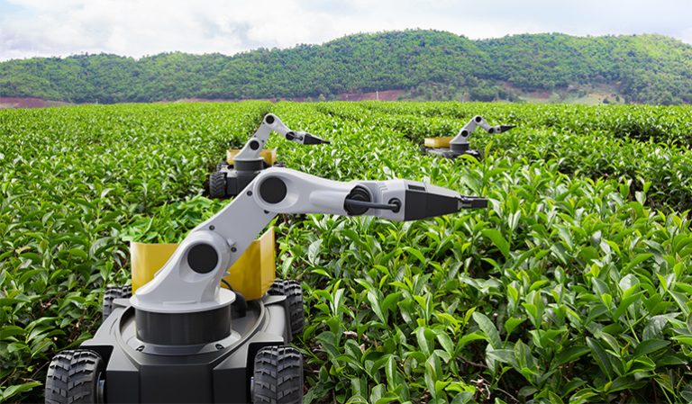 AI and Sustainable Development in Agriculture