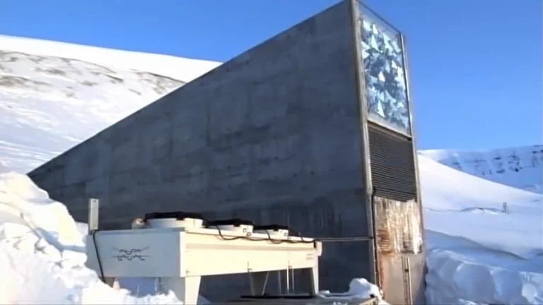 World Genebanks Stand United as New Seeds are Added to the Svalbard Global Seed Vault