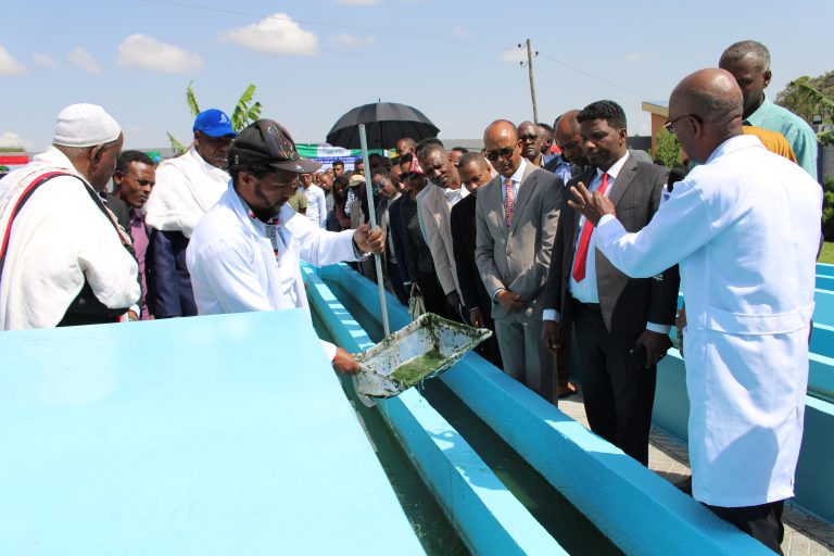 Ethiopia Starts Microalgae Spirulina Production To Address Malnutrition Among Children